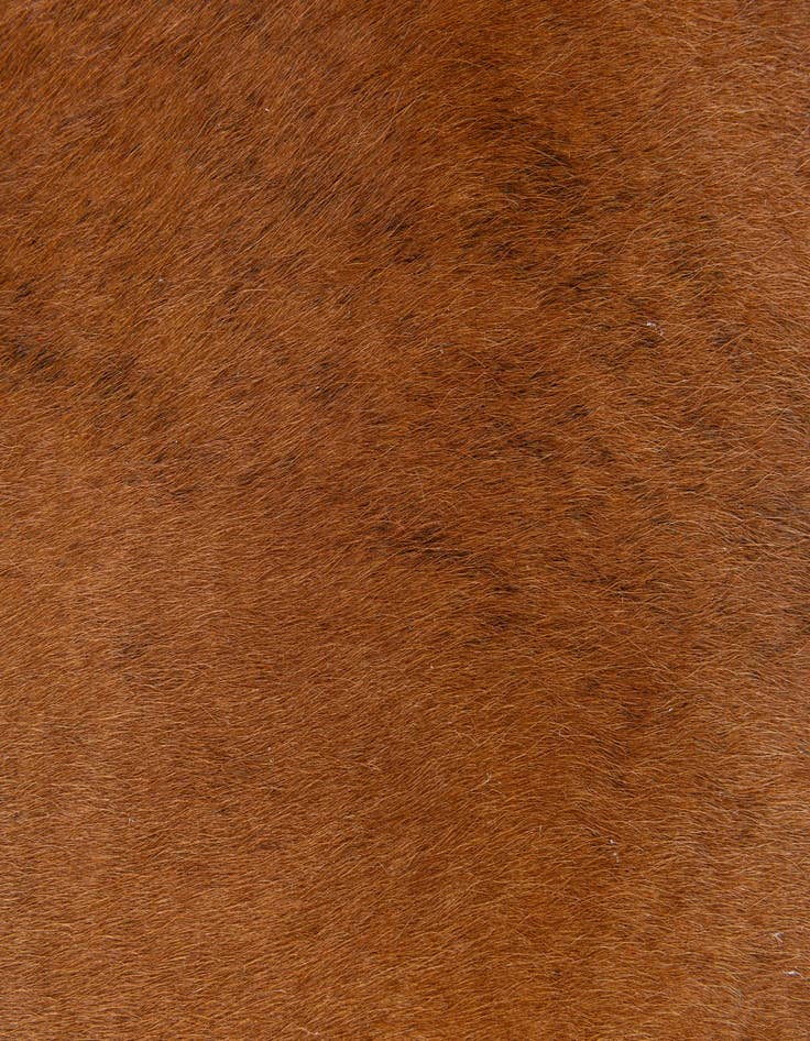 Detail image of  1' 7 x 2' 5 Cowhide Leather Rug