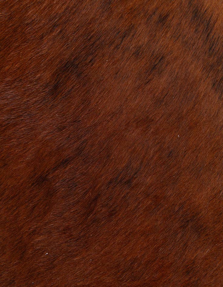 Detail image of  1' 8 x 2' 6 Cowhide Leather Rug