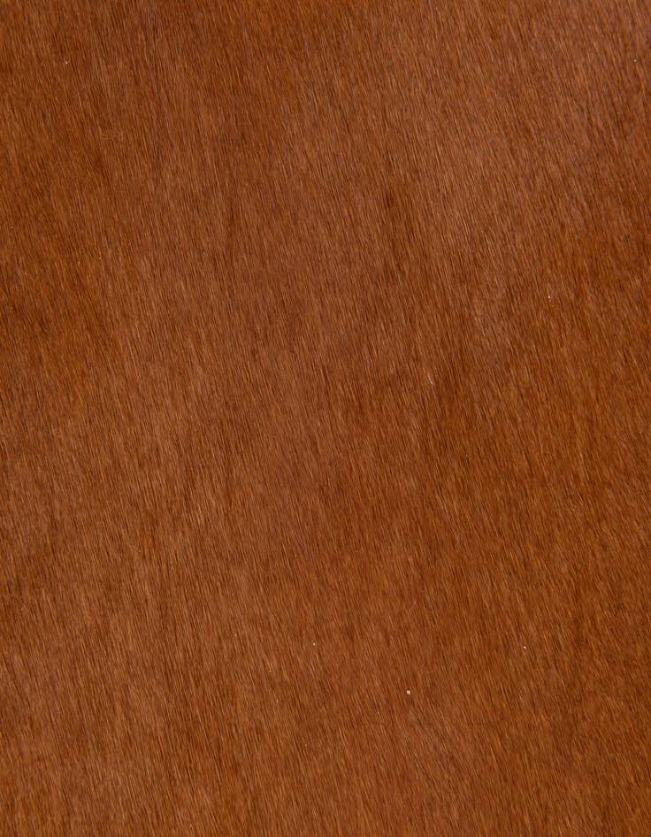 Detail image of  1' 8 x 2' 7 Cowhide Leather Rug