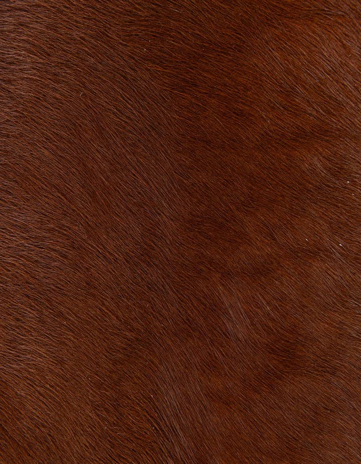 Detail image of  1' 8 x 2' 7 Cowhide Leather Rug