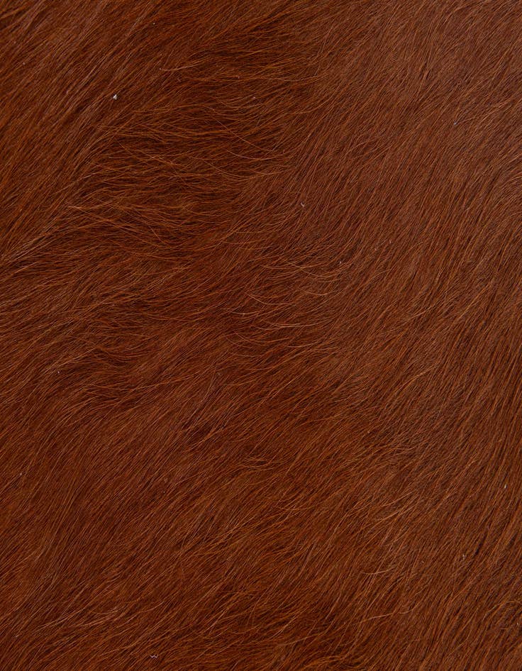 Detail image of  1' 8 x 2' 7 Cowhide Leather Rug