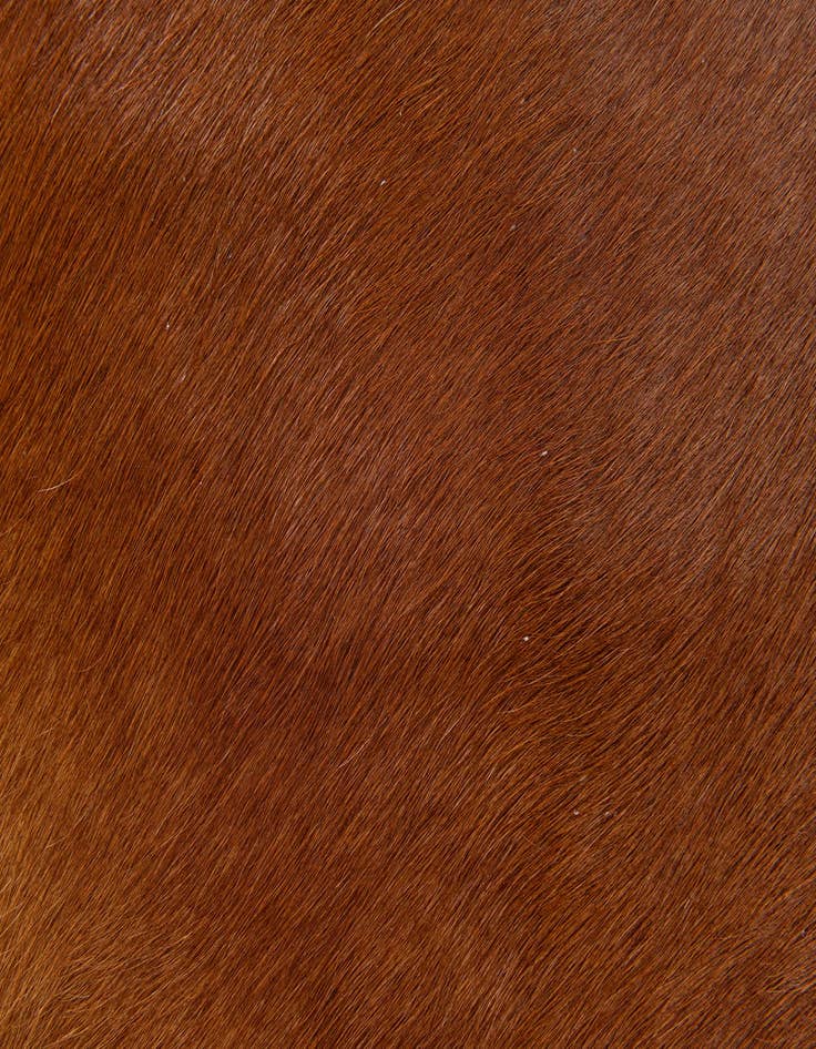 Detail image of  1' 8 x 2' 7 Cowhide Leather Rug