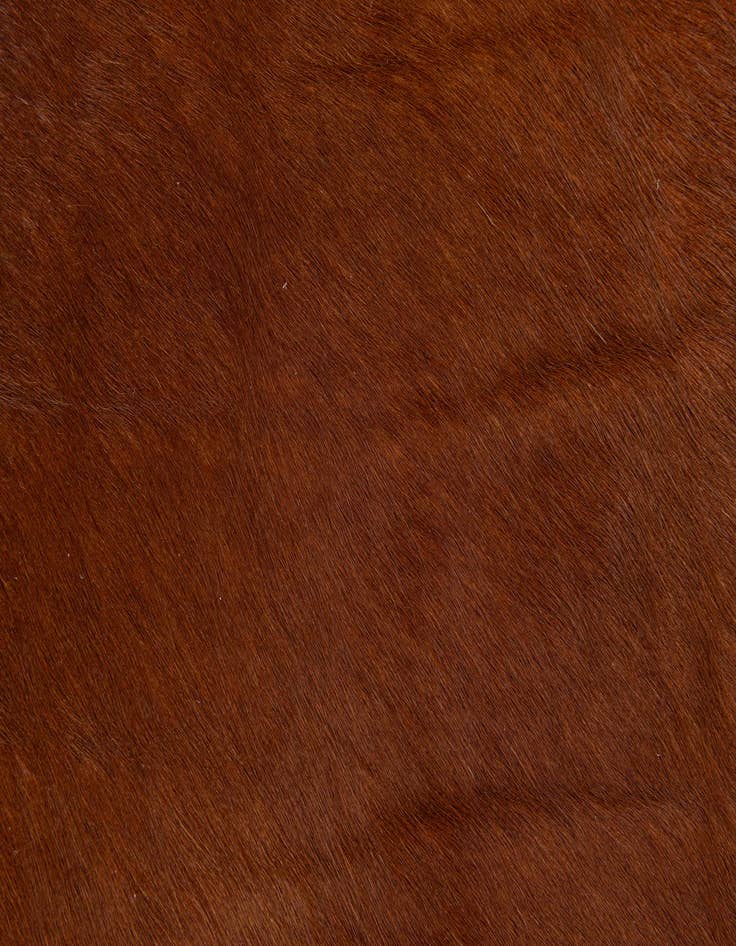 Detail image of  1' 8 x 2' 7 Cowhide Leather Rug