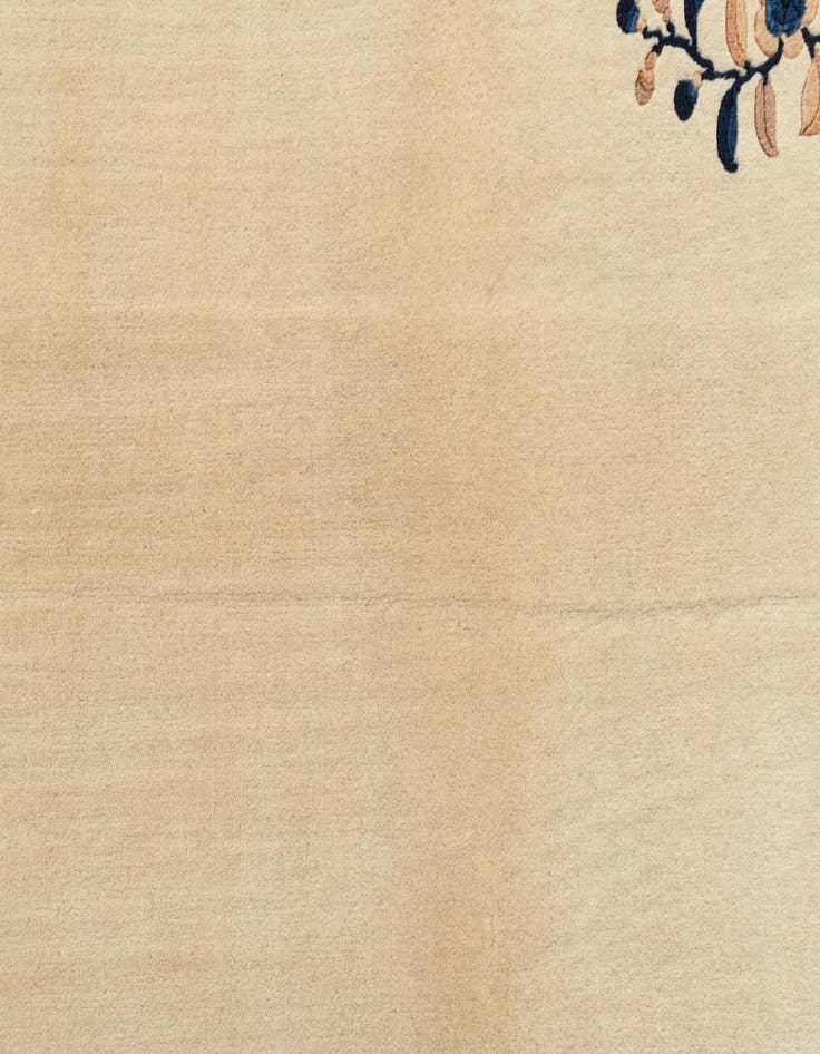 Detail image of  3' 1 x 5'  Hand Knotted Darya Wool Rug