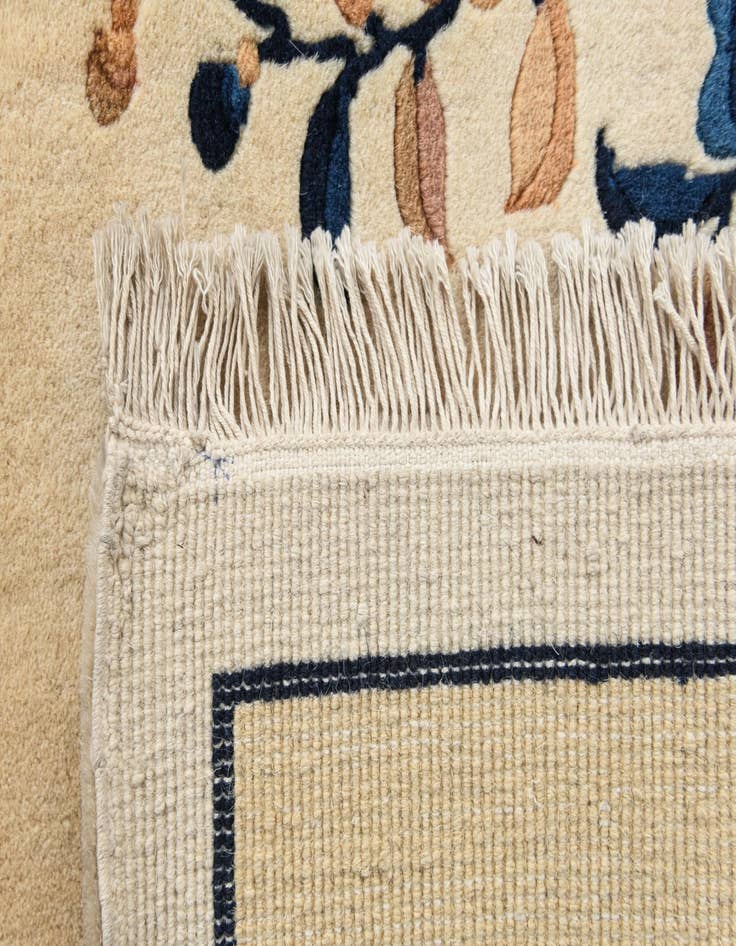 Detail image of  3' 1 x 5'  Hand Knotted Darya Wool Rug