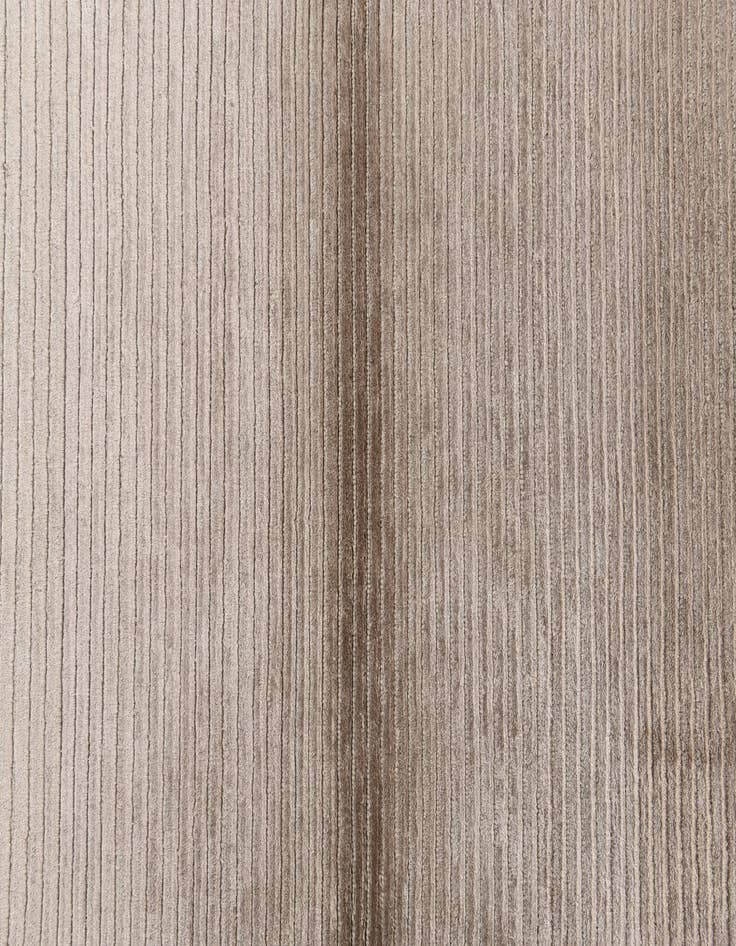 Detail image of  2' 7 x 5'  Hand Knotted Darya Wool Rug