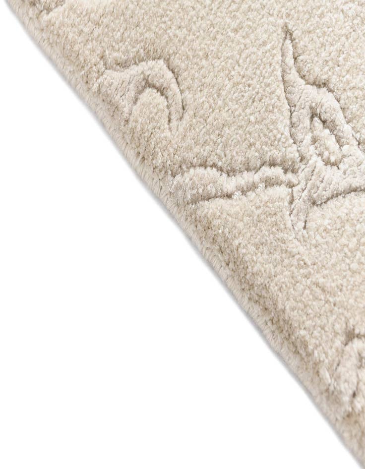 Detail image of  4' 4 x 6' 3 Darya Rug