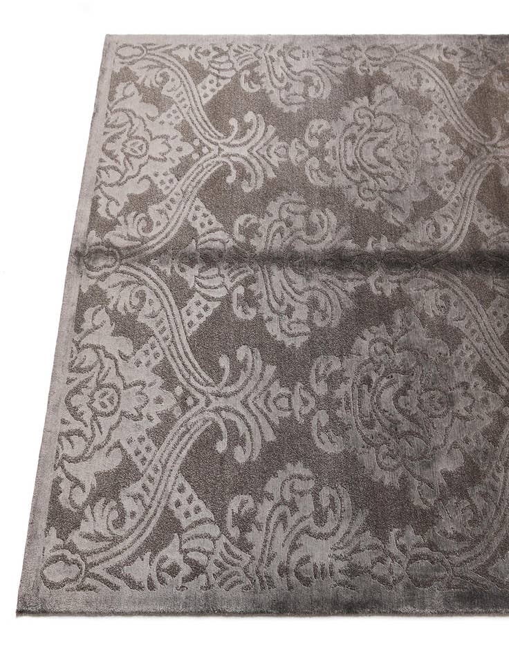 Detail image of  4' x 6' 2 Darya Rug