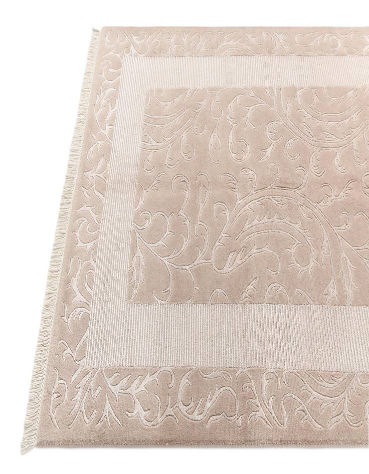 Detail image of  4' 3 x 6' 4 Darya Rug