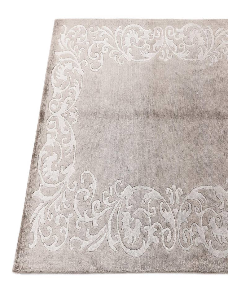 Detail image of  3' 10 x 5' 11 Darya Rug