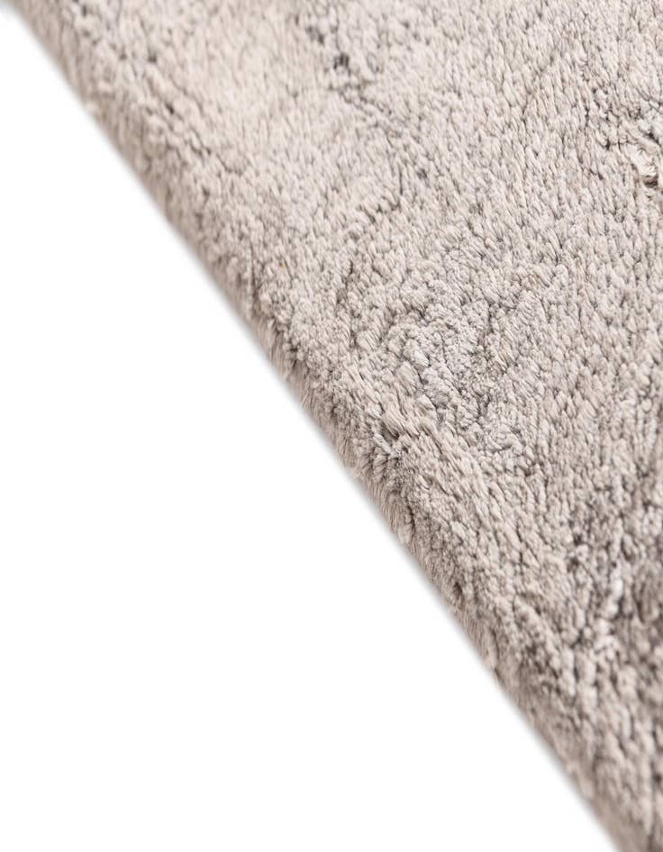 Detail image of  3' 10 x 5' 11 Darya Rug