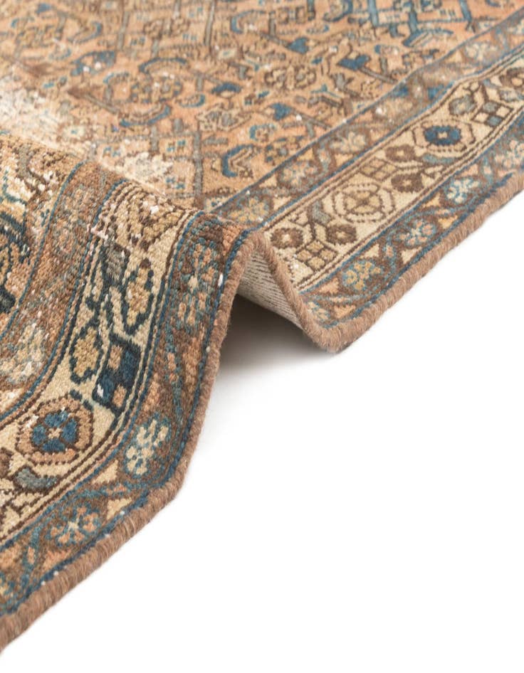 Detail image of  3' 3 x 6' 11 Hamedan Rug