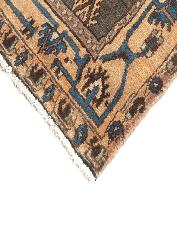 Detail image of  4' 2 x 9' 3 Hamedan Rug