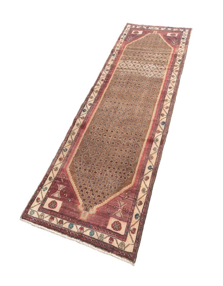 Detail image of  3' 8 x 9' 6 Hamedan Rug