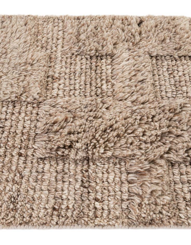 Detail image of  2' 2 x 3' 1  Hand Knotted Lana New Zealand Wool Rug