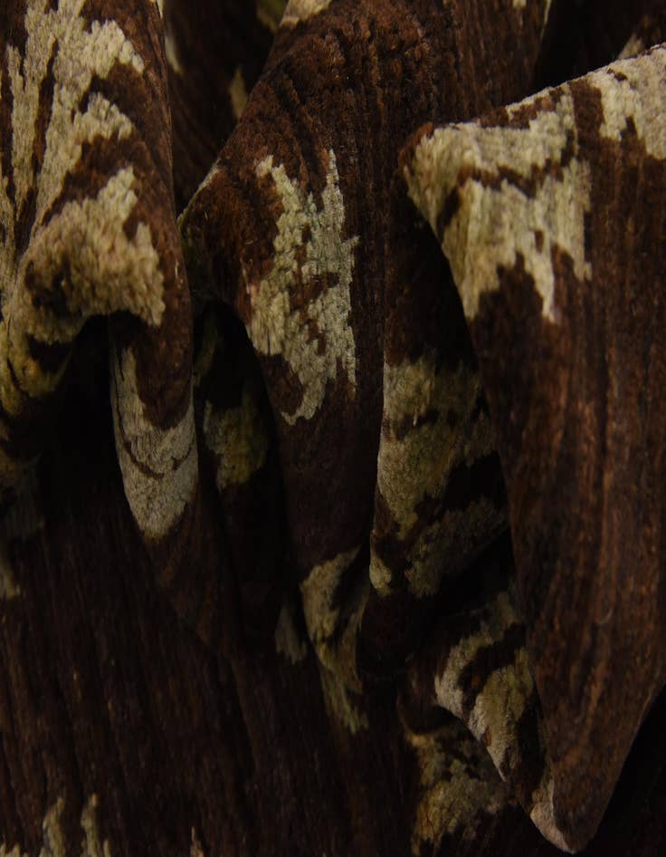 Detail image of  6' 6 x 9' 8  Hand Knotted Modern Ziegler Rug