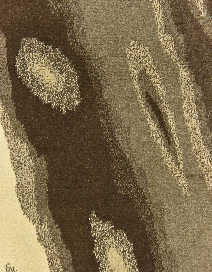 Detail image of  4' x 6'  Hand Knotted Nepal Wool Rug