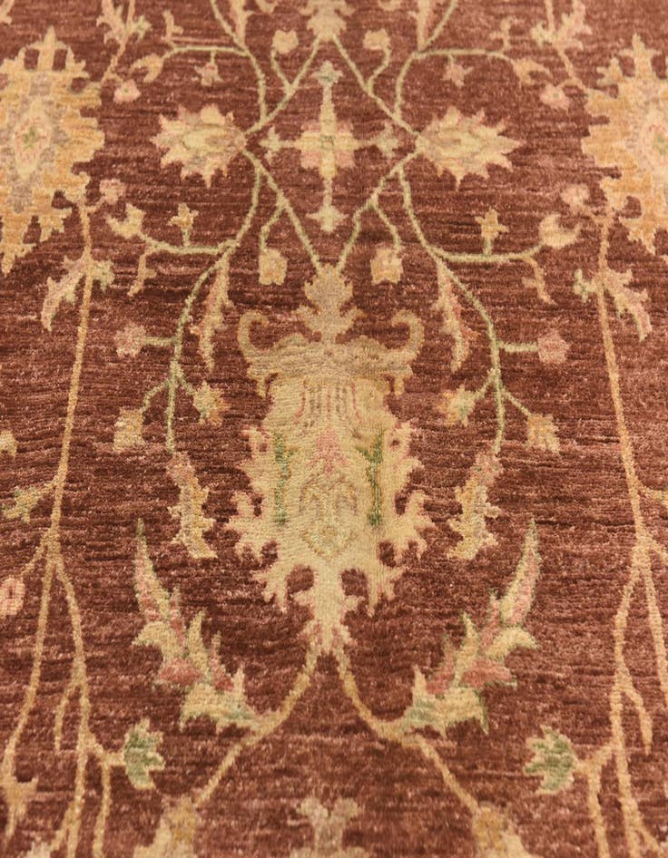 Detail image of  5' 7 x 8' 10  Hand Knotted Peshawar Ziegler Rug