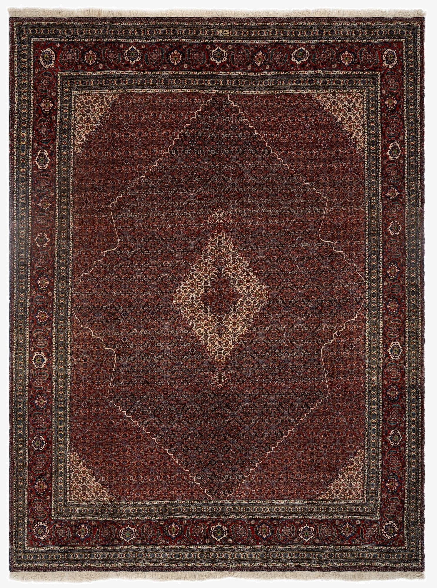  9' 8 x 12' 6 Sarab Mahshabi Wool Rug