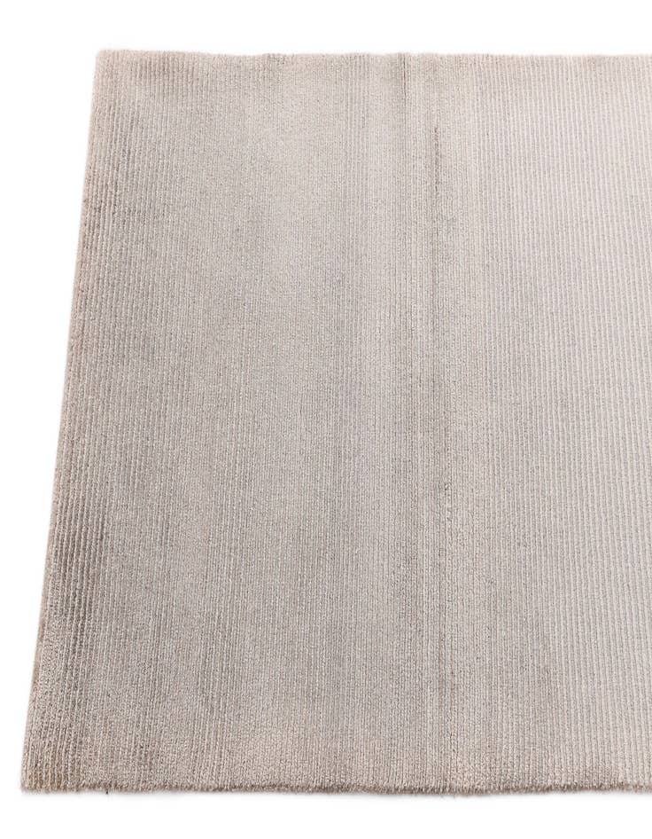 Detail image of  2' 7 x 9' 10 Darya Runner Rug