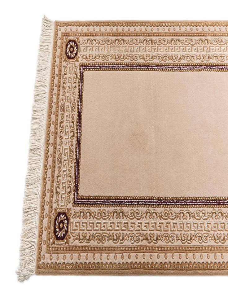 Detail image of  2' 8 x 13' 1 Darya Runner Rug