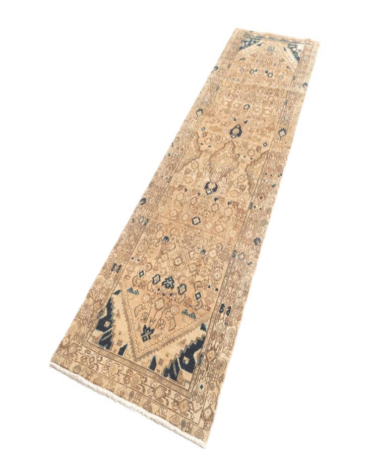 Detail image of  3' x 9' 9 Hamedan Runner Rug