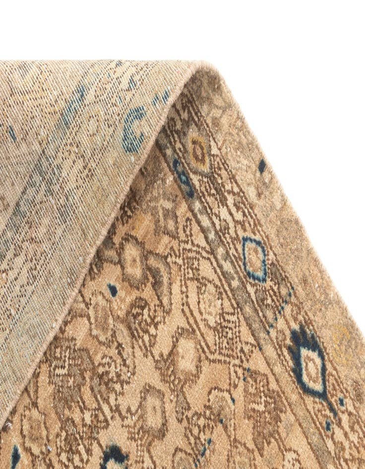 Detail image of  3' x 9' 9 Hamedan Runner Rug