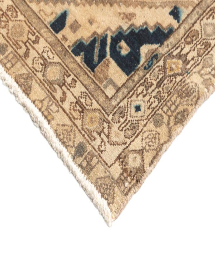 Detail image of  3' x 9' 9 Hamedan Runner Rug