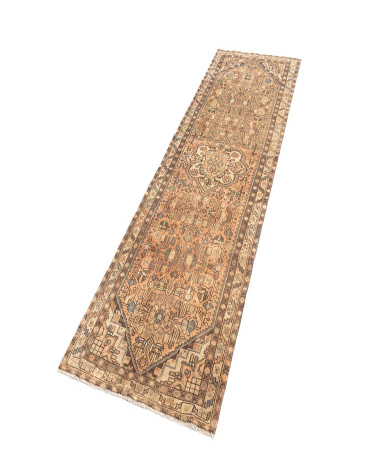 Detail image of  3' 1 x 9' 9 Hamedan Runner Rug