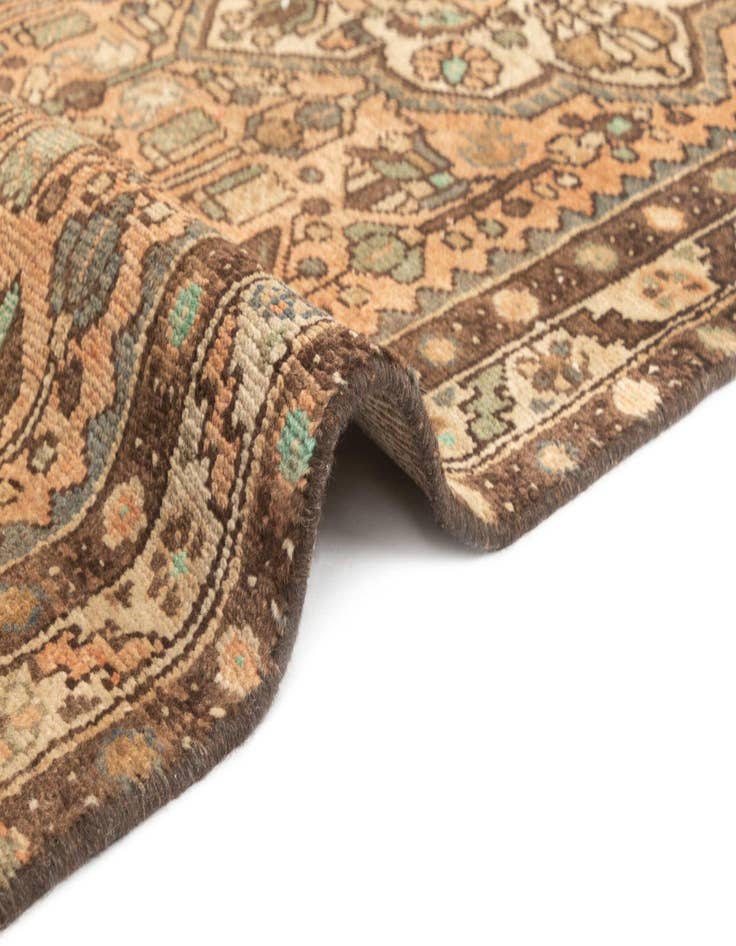 Detail image of  3' 1 x 9' 9 Hamedan Runner Rug