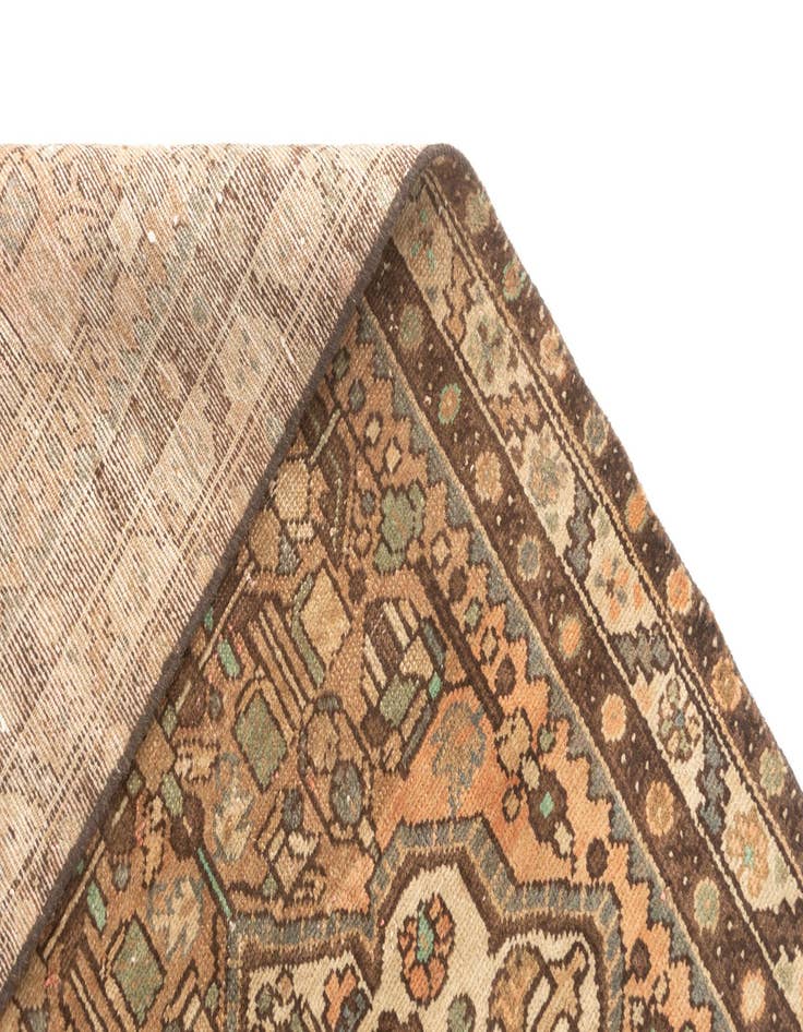 Detail image of  3' 1 x 9' 9 Hamedan Runner Rug