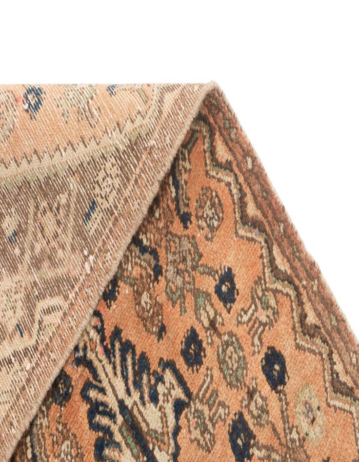 Detail image of  2' 11 x 8' 6 Hamedan Runner Rug