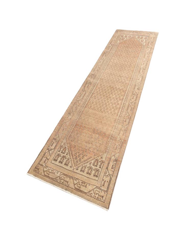 Detail image of  3' 3 x 10' 4 Hamedan Runner Rug