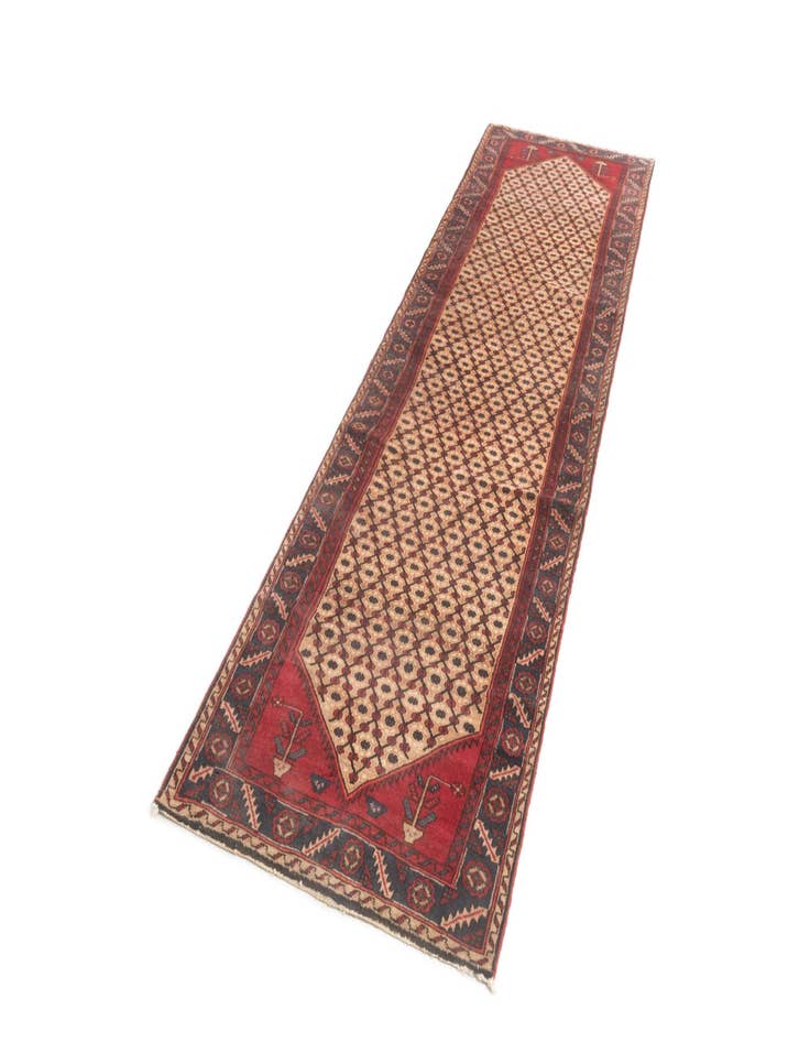 Detail image of  3' 9 x 13' 5 Hamedan Runner Rug