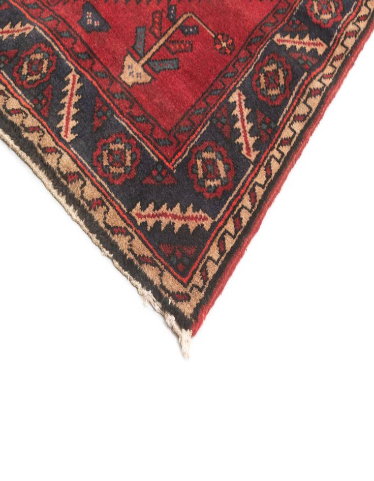 Detail image of  3' 9 x 13' 5 Hamedan Runner Rug