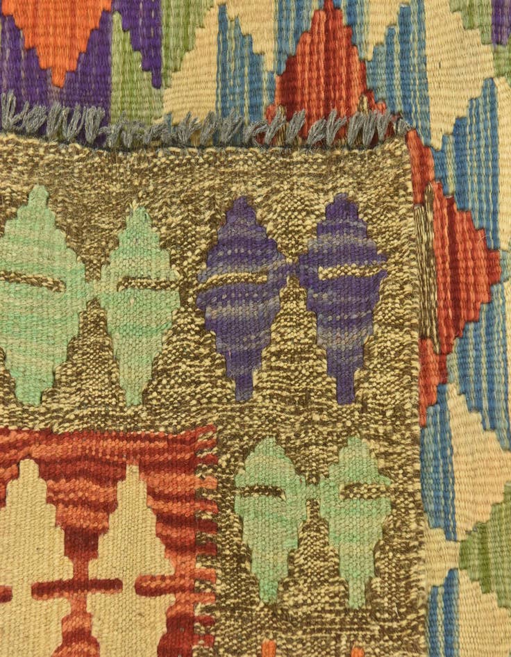 Detail image of  3' 3 x 6' 8  Hand Woven Kilim Maymana Wool Runner Rug
