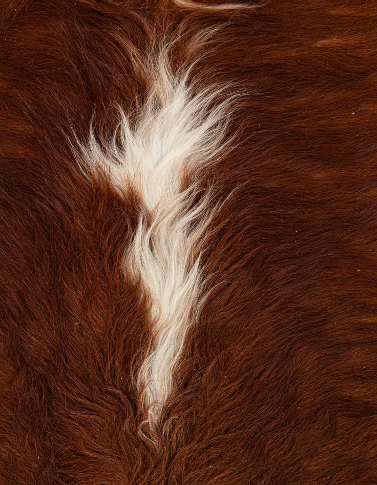 Detail image of  4' 11 x 5' 1 Cowhide Leather Square Rug