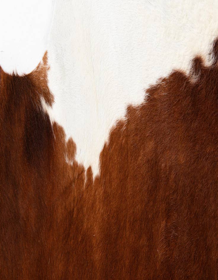 Detail image of  6' 5 x 6' 11 Cowhide Leather Square Rug
