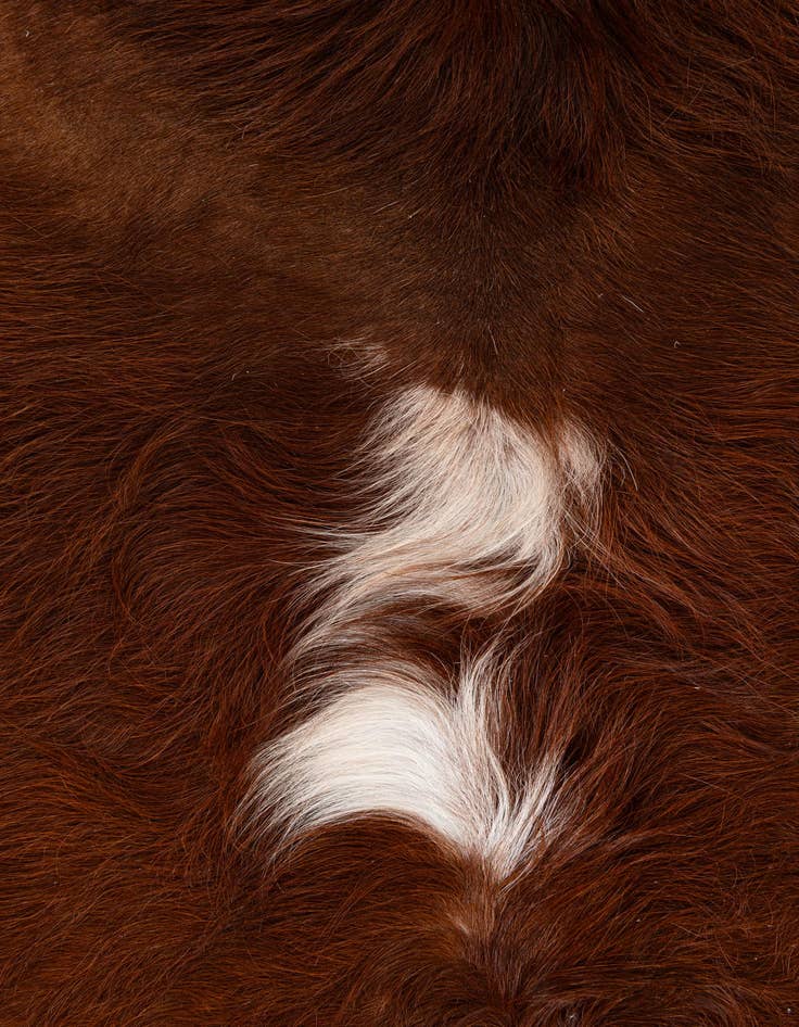Detail image of  6' 5 x 7' Cowhide Leather Square Rug