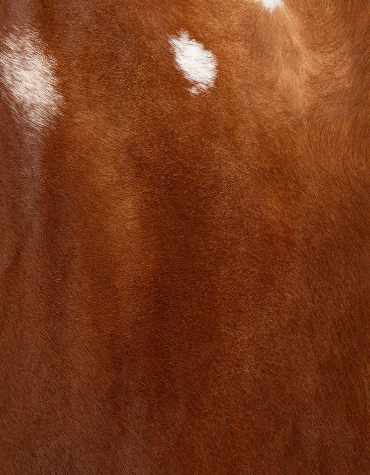 Detail image of  6' 5 x 7' 3 Cowhide Leather Square Rug