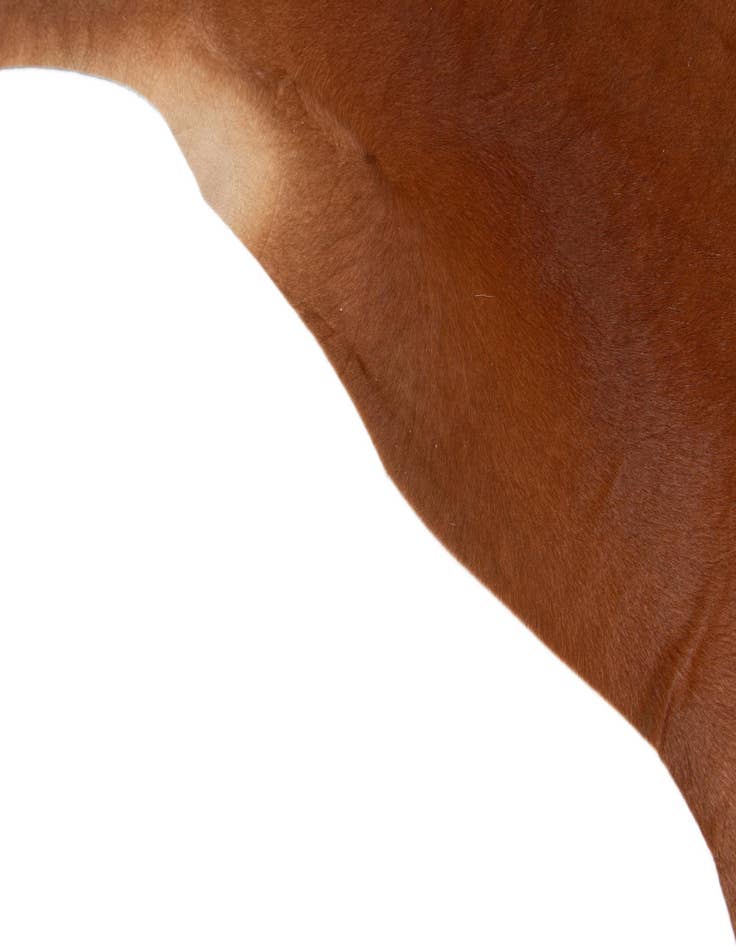 Detail image of  6' 7 x 7' 1 Cowhide Leather Square Rug