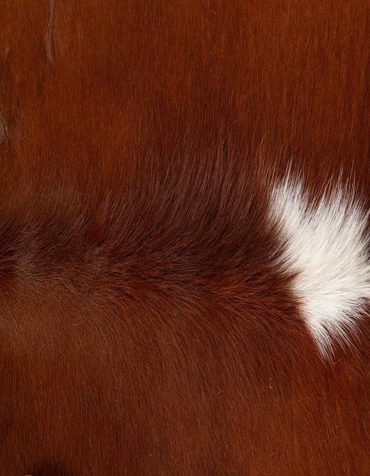 Detail image of  5' 5 x 5' 5 Cowhide Leather Square Rug