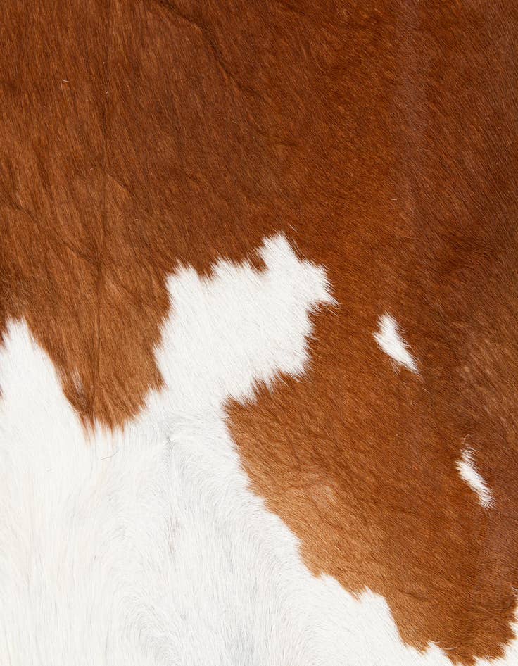 Detail image of  6' 2 x 6' 8 Cowhide Leather Square Rug