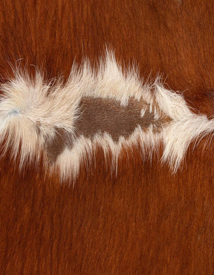 Detail image of  5' 2 x 5' 4 Cowhide Leather Square Rug