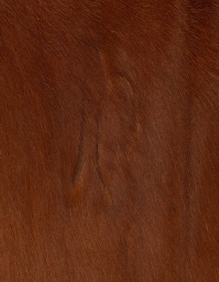 Detail image of  6' 2 x 6' 2 Cowhide Leather Square Rug