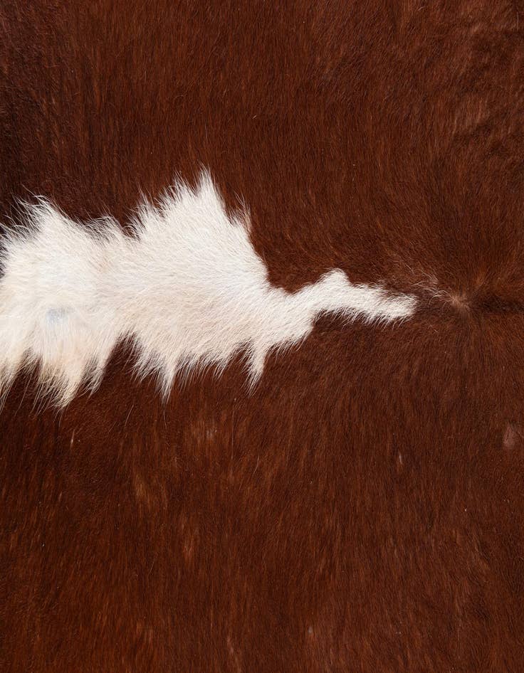 Detail image of  5' 5 x 5' 7 Cowhide Leather Square Rug