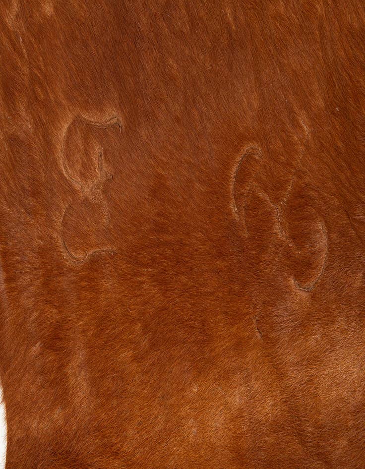 Detail image of  6' 11 x 7' 1 Cowhide Leather Square Rug