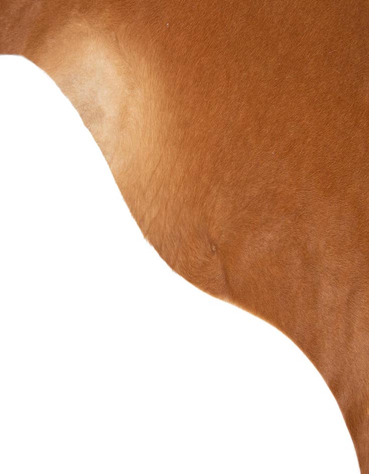 Detail image of  6' 1 x 6' 5 Cowhide Leather Square Rug