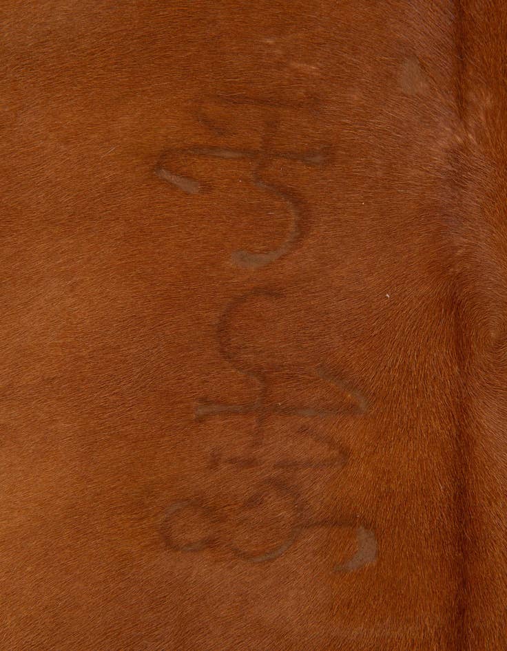 Detail image of  4' 10 x 5' 2 Cowhide Leather Square Rug