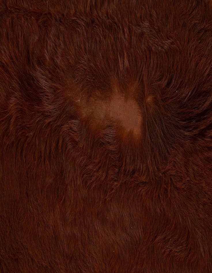 Detail image of  5' 4 x 5' 4 Cowhide Leather Square Rug